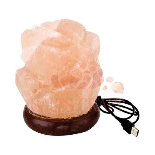 Flower Shape USB Salt Lamp